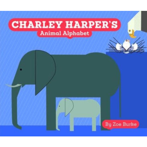 Pomegranate Communications Inc,US Charley Harper's Animal Alphabet (bok, board book, eng)
