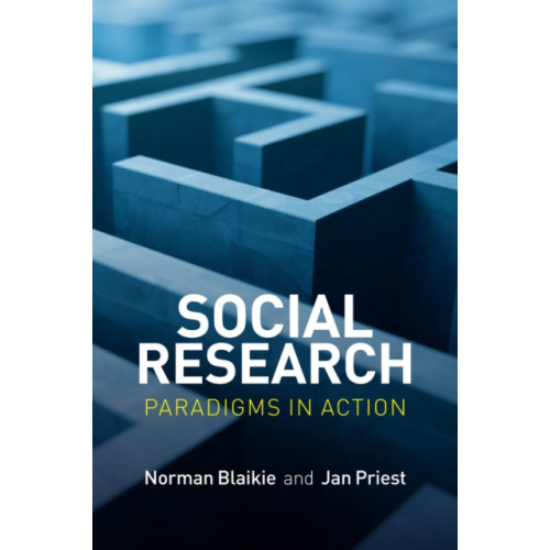 John Wiley And Sons Ltd Social Research (häftad, eng)
