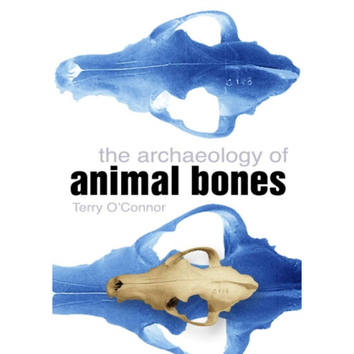 The History Press Ltd The Archaeology of Animal Bones (häftad, eng)