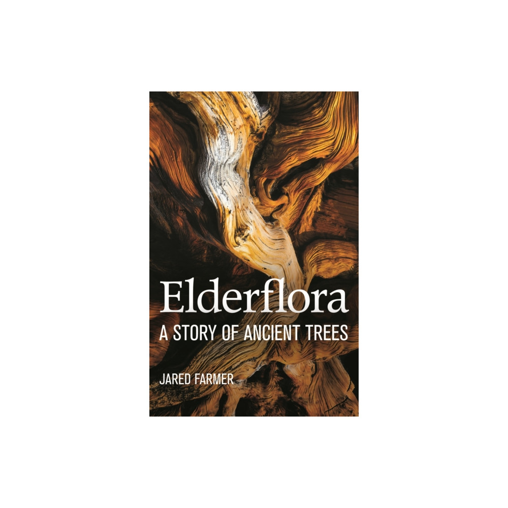 Produktbild för Elderflora (häftad, eng)
