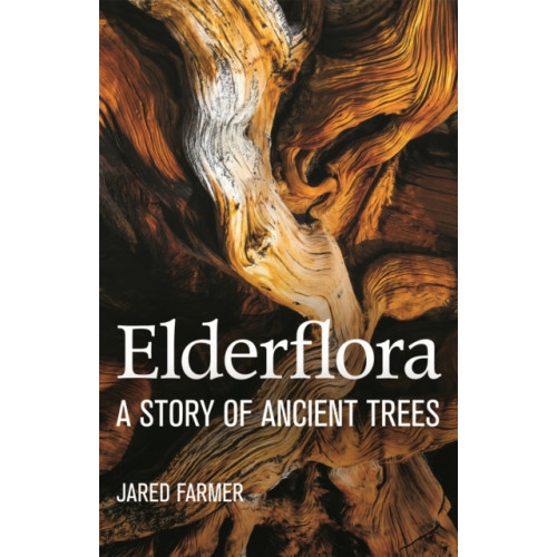 Pan Macmillan Elderflora (häftad, eng)