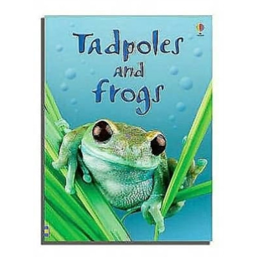 Usborne Publishing Ltd Tadpoles and Frogs (inbunden, eng)