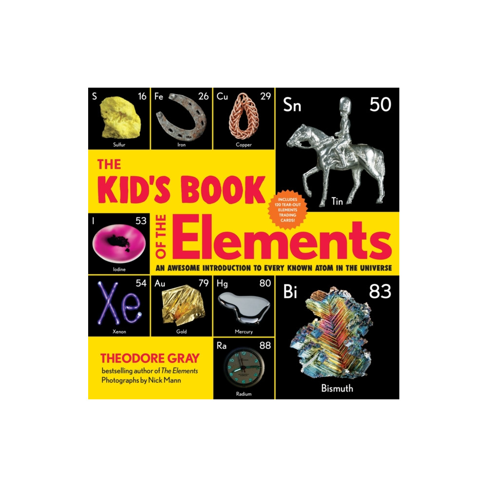 Produktbild för The Kid's Book of the Elements (häftad, eng)