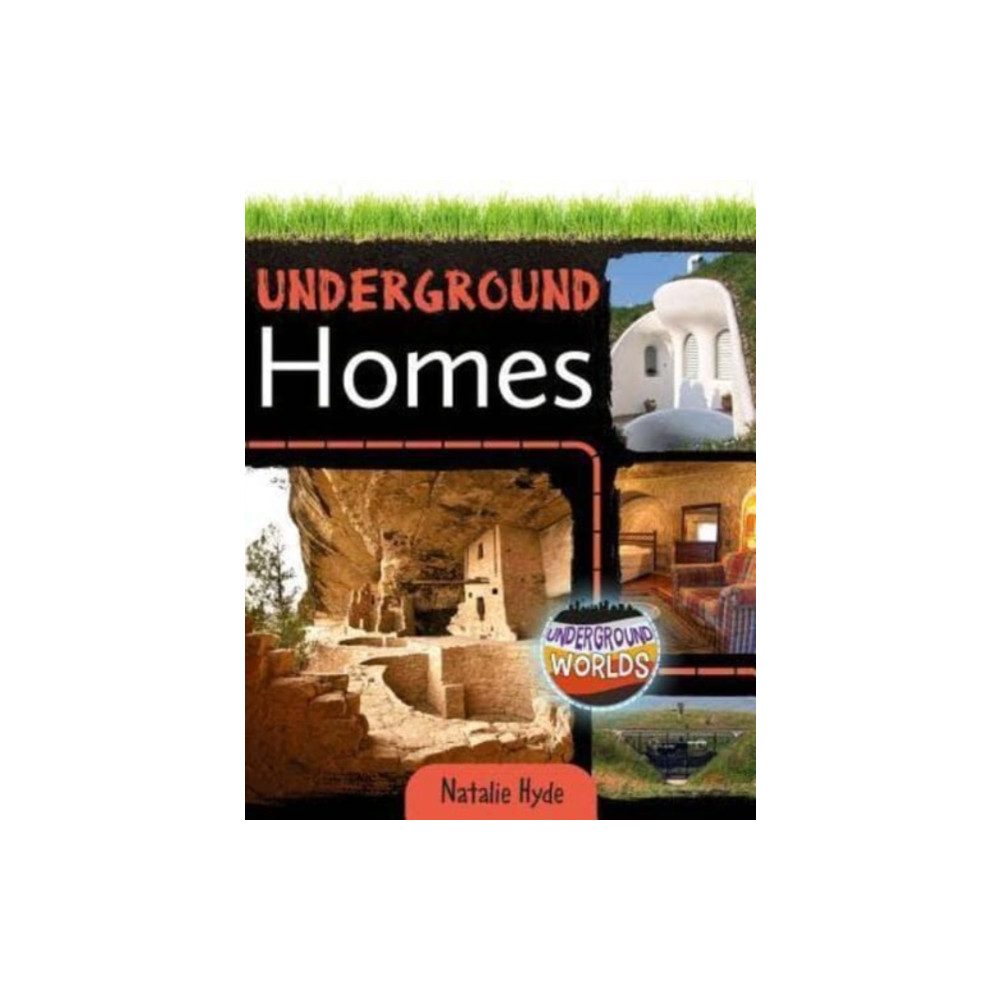 Produktbild för Underground Homes (häftad, eng)