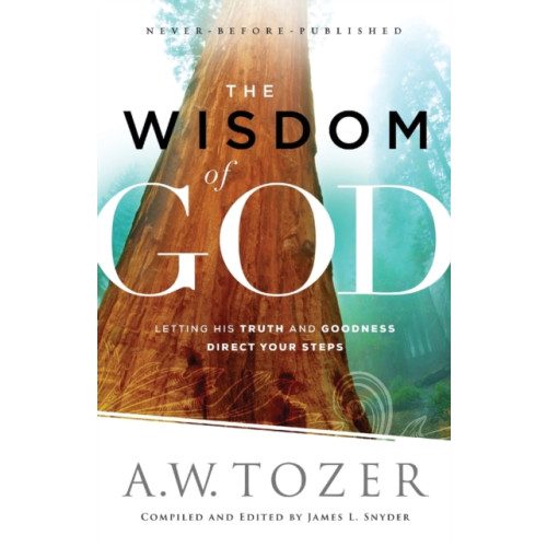 Baker publishing group The Wisdom of God – Letting His Truth and Goodness Direct Your Steps (häftad, eng)