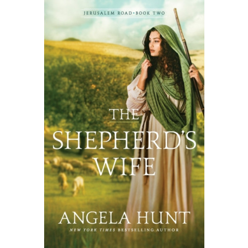 Baker publishing group The Shepherd`s Wife (häftad, eng)