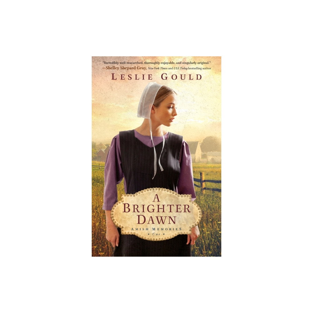 Produktbild för A Brighter Dawn (häftad, eng)