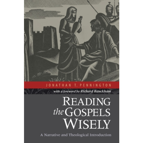 Baker publishing group Reading the Gospels Wisely – A Narrative and Theological Introduction (häftad, eng)