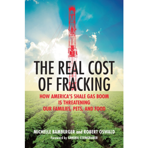 Beacon Press The Real Cost of Fracking (häftad, eng)