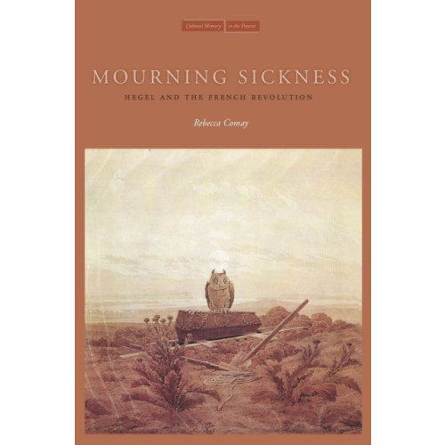 Stanford university press Mourning Sickness (häftad, eng)