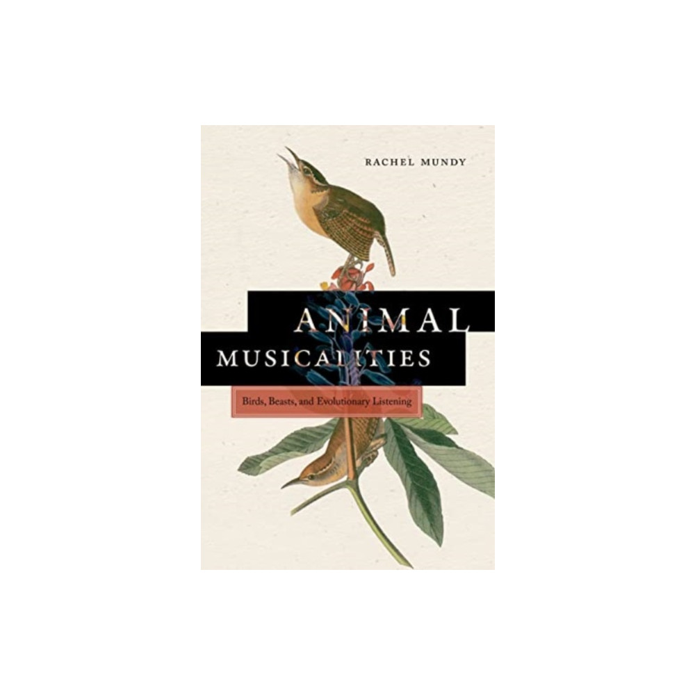 Produktbild för Animal Musicalities (häftad, eng)
