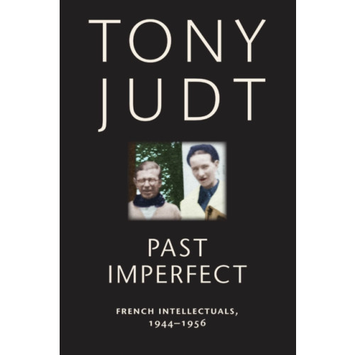 New York University Press Past Imperfect (häftad, eng)