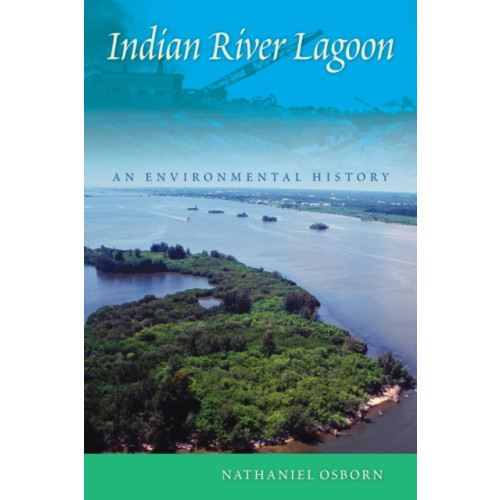 University Press of Florida Indian River Lagoon (häftad, eng)