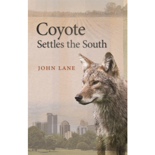 University of Georgia Press Coyote Settles the South (häftad, eng)