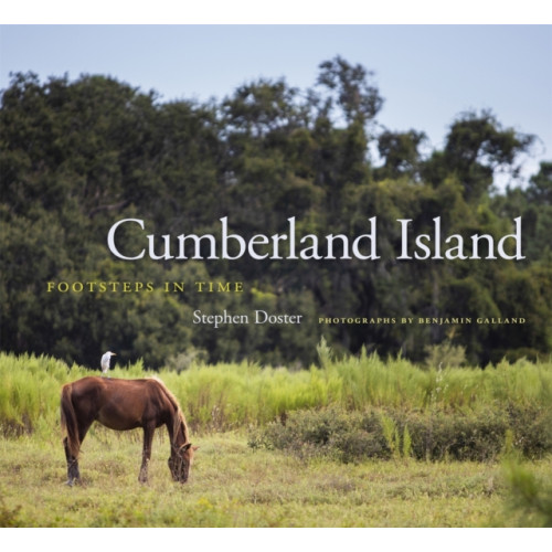 University of Georgia Press Cumberland Island (inbunden, eng)