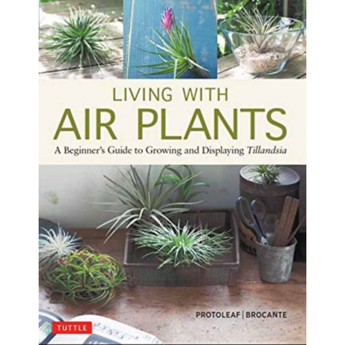 Tuttle Publishing Living with Air Plants (inbunden, eng)