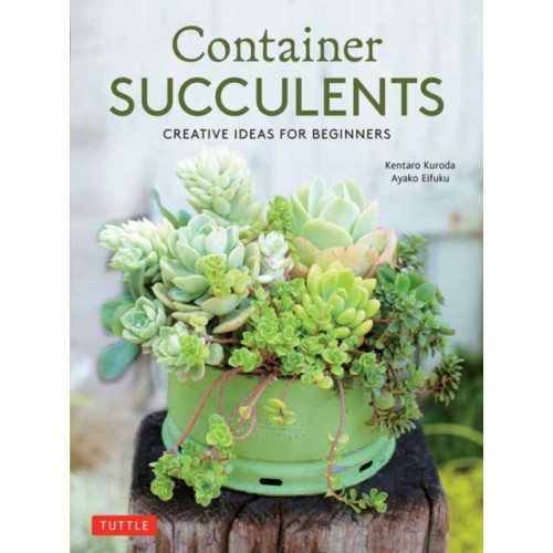 Tuttle Publishing Container Succulents (häftad, eng)