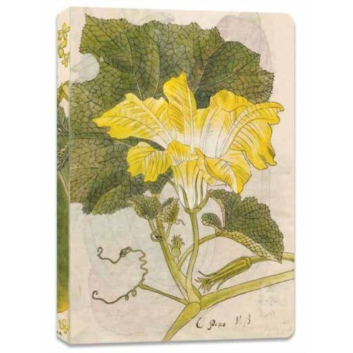 Tuttle Publishing Japanese Squash Blossom Lined Paperback Journal (häftad, eng)