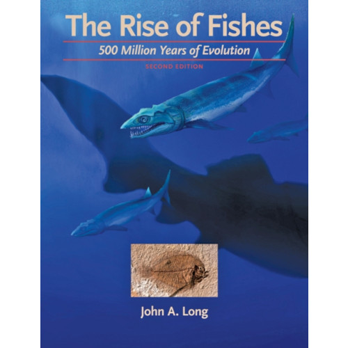 Johns Hopkins University Press The Rise of Fishes (inbunden, eng)