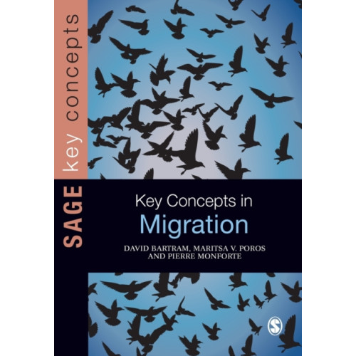 Sage Publications Ltd Key Concepts in Migration (häftad, eng)