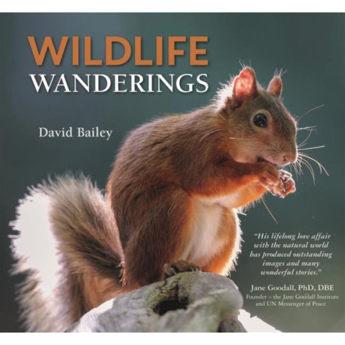 Halsgrove Wildlife Wanderings (inbunden, eng)