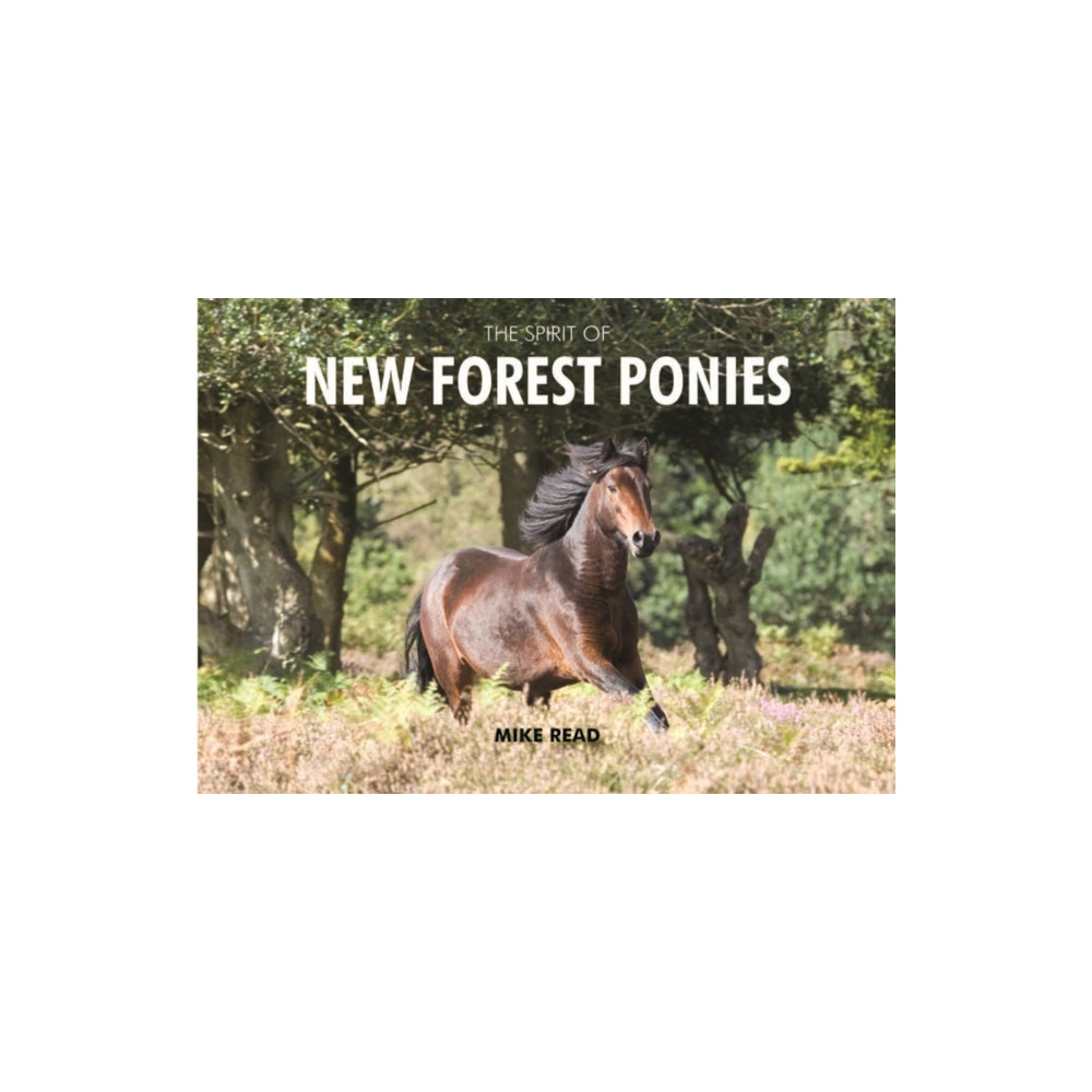Produktbild för The Spirit of New Forest Ponies (inbunden, eng)