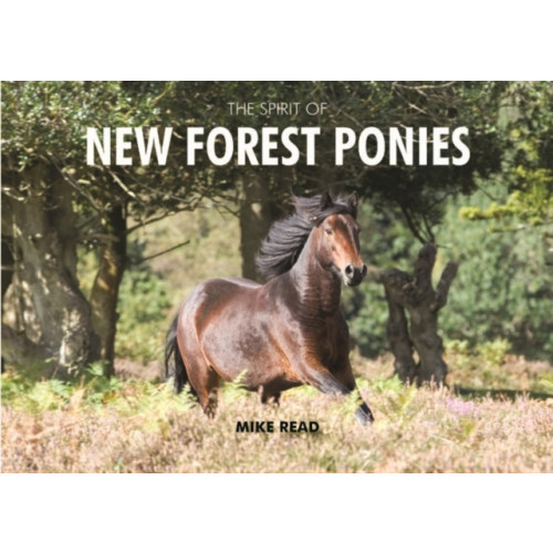 PiXZ Books The Spirit of New Forest Ponies (inbunden, eng)