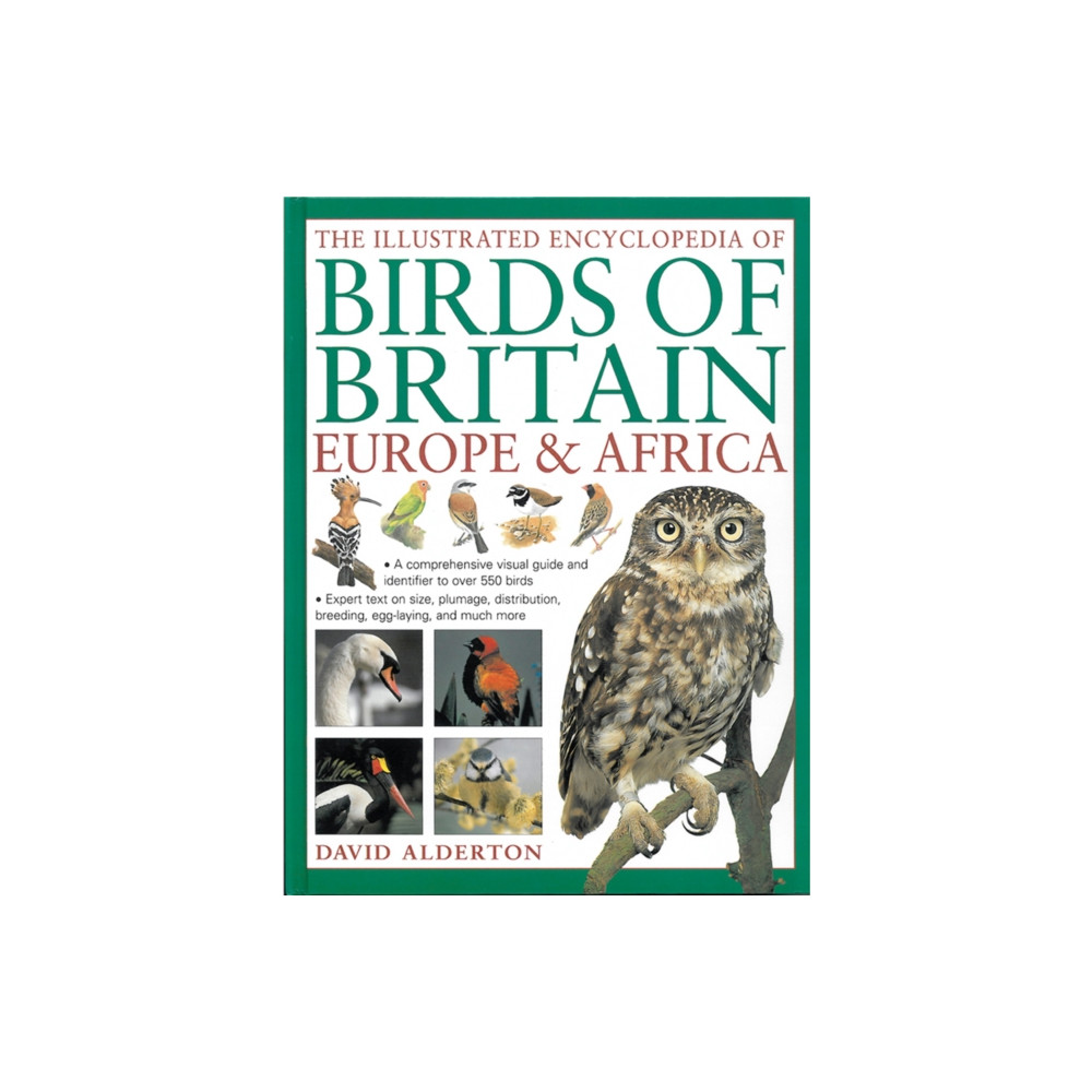 Produktbild för The Illustrated Encyclopedia of Birds of Britain Europe & Africa (inbunden, eng)