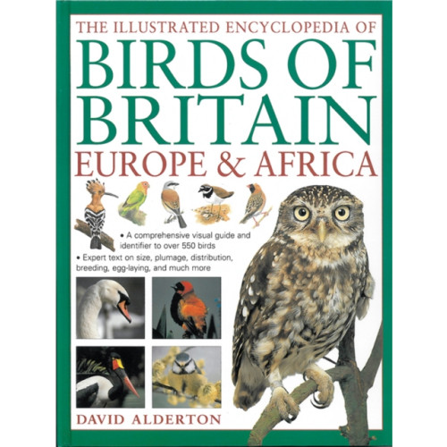 Anness publishing The Illustrated Encyclopedia of Birds of Britain Europe & Africa (inbunden, eng)