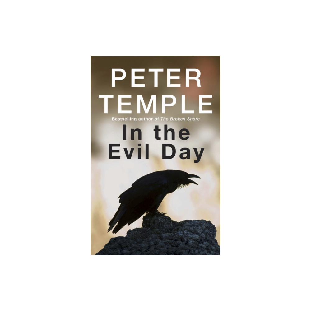 Produktbild för In the Evil Day (häftad, eng)