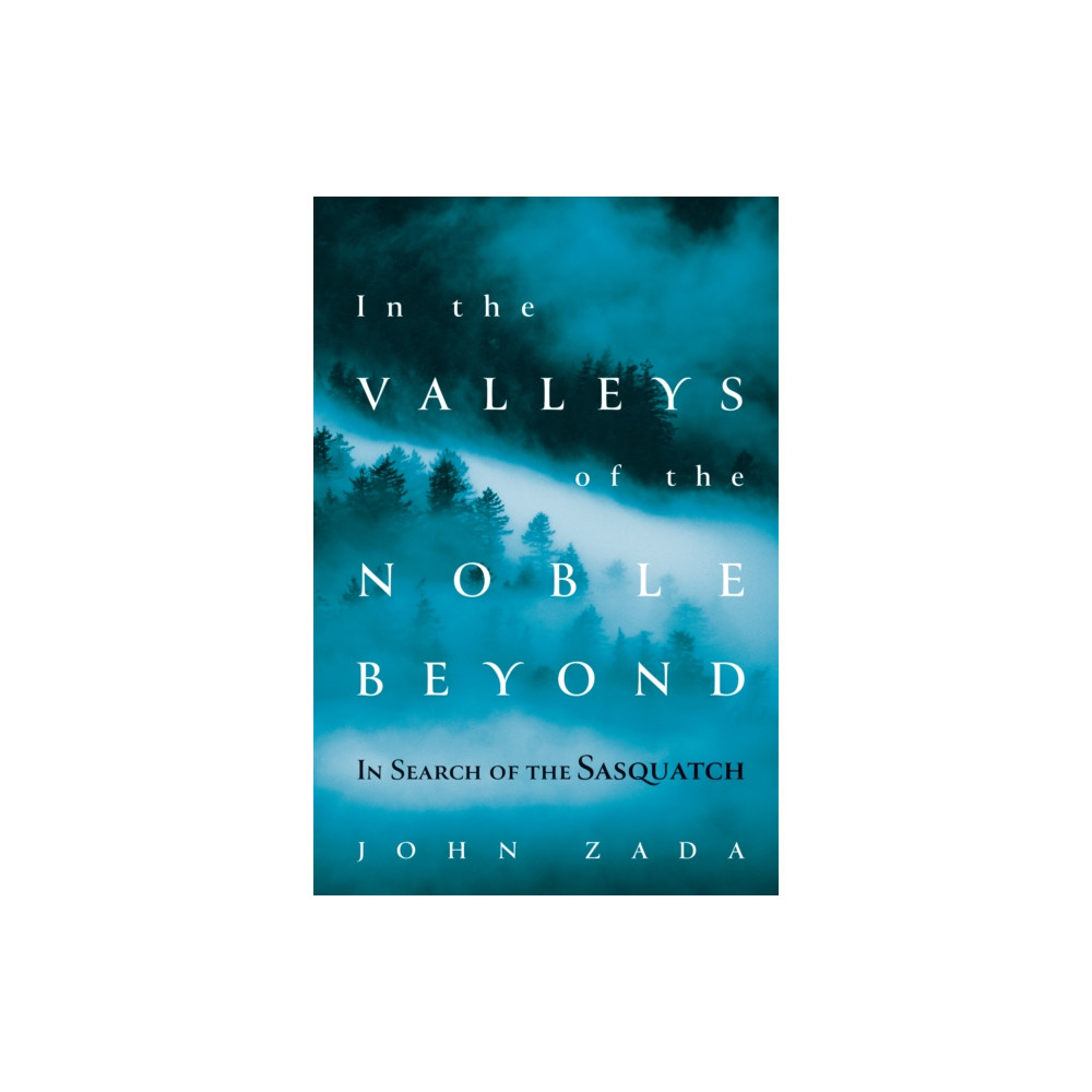 Produktbild för In the Valleys of the Noble Beyond (häftad, eng)