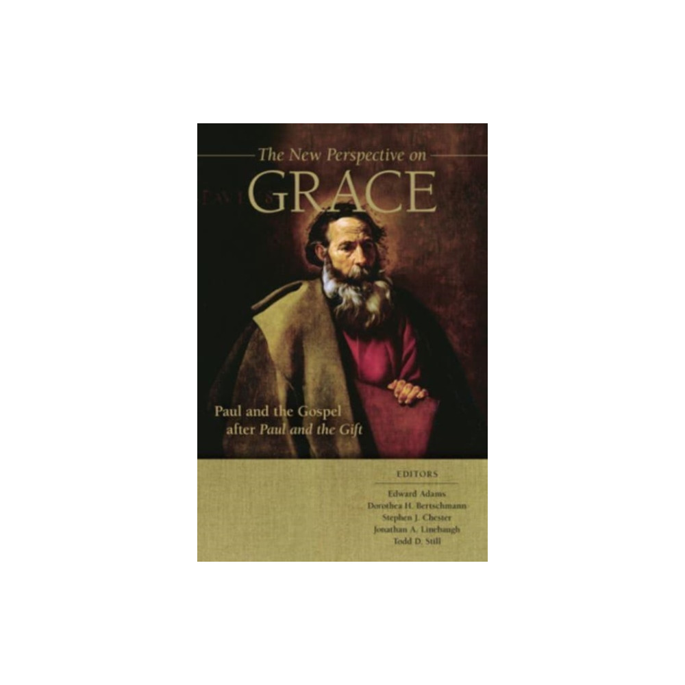 Produktbild för The New Perspective on Grace (inbunden, eng)