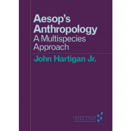 University of Minnesota Press Aesop's Anthropology (häftad, eng)