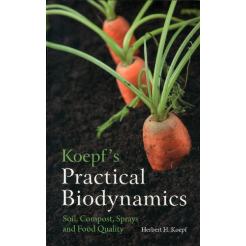 Floris Books Koepf's Practical Biodynamics (häftad, eng)