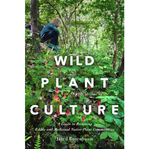 New Society Publishers Wild Plant Culture (häftad, eng)