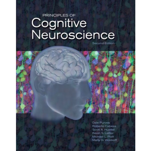 Oxford University Press Inc Principles of Cognitive Neuroscience (inbunden, eng)