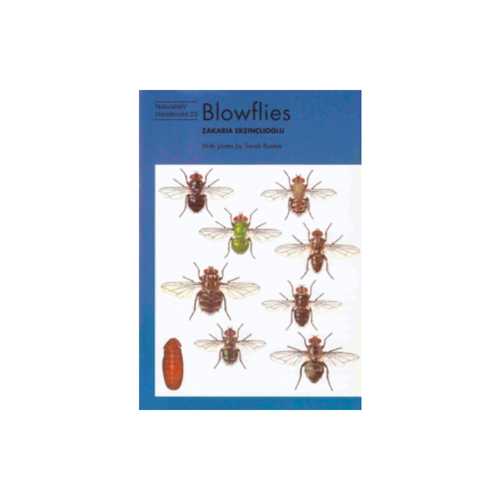 Produktbild för Blowflies (häftad, eng)