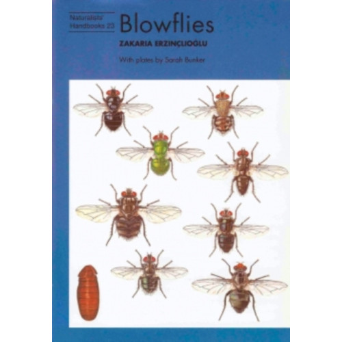 Richmond Publishing Co Ltd Blowflies (häftad, eng)