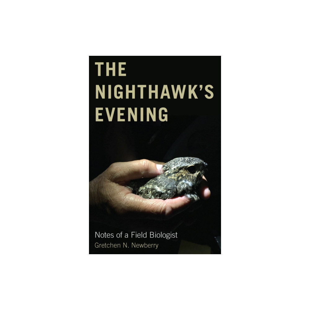 Produktbild för The Nighthawk's Evening (häftad, eng)