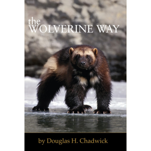 Patagonia Books The Wolverine Way (häftad, eng)