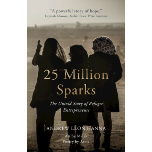 Cambridge University Press 25 Million Sparks (inbunden, eng)
