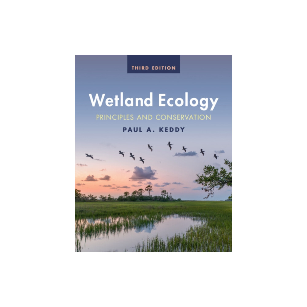 Produktbild för Wetland Ecology (häftad, eng)