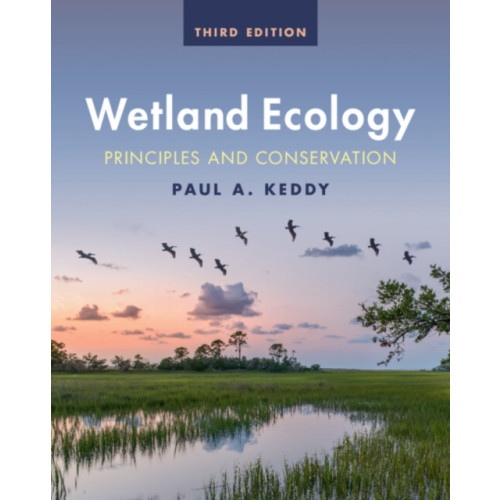Cambridge University Press Wetland Ecology (häftad, eng)