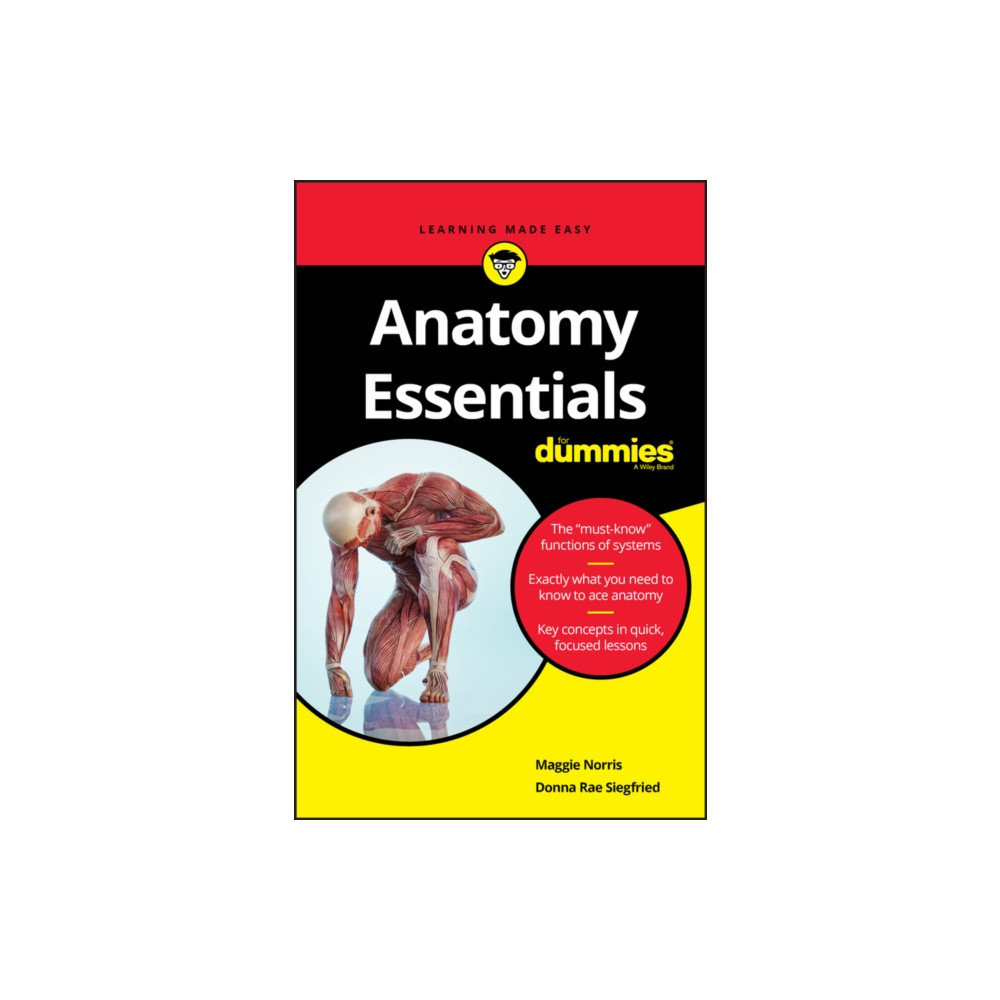 Produktbild för Anatomy Essentials For Dummies (häftad, eng)