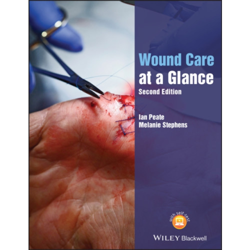 John Wiley And Sons Ltd Wound Care at a Glance (häftad, eng)