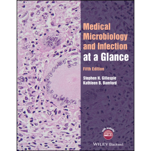 John Wiley And Sons Ltd Medical Microbiology and Infection at a Glance (häftad, eng)