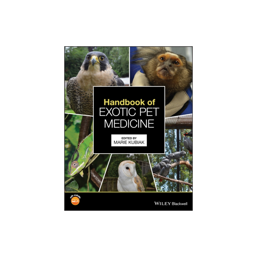 Produktbild för Handbook of Exotic Pet Medicine (häftad, eng)