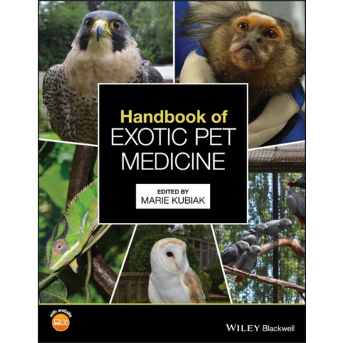 John Wiley And Sons Ltd Handbook of Exotic Pet Medicine (häftad, eng)