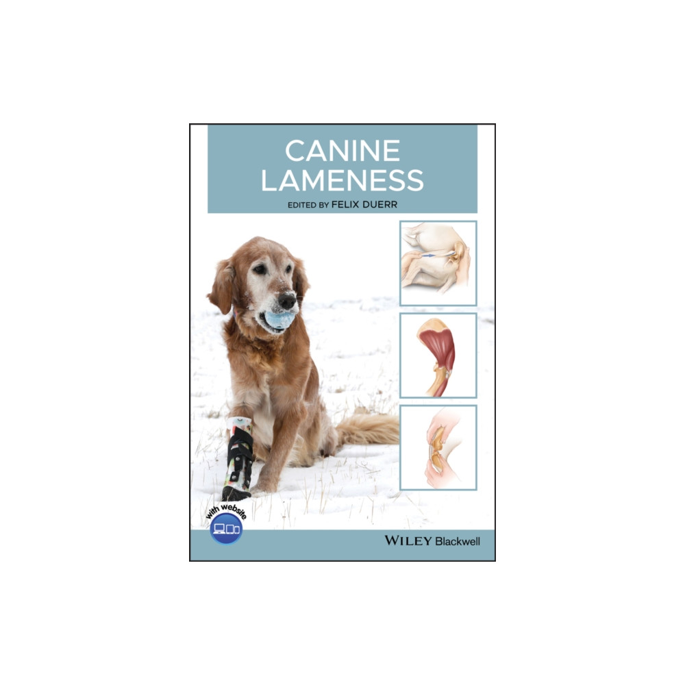Produktbild för Canine Lameness (häftad, eng)