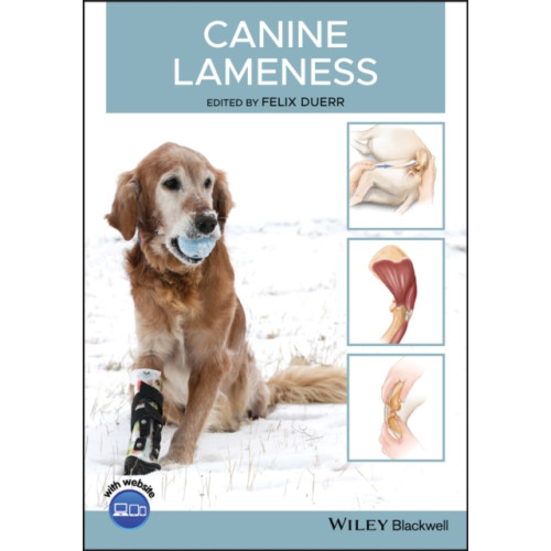 John Wiley And Sons Ltd Canine Lameness (häftad, eng)